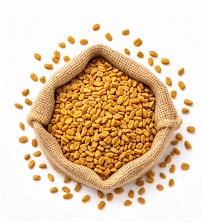 FENUGREEK SEEDS( VENDHAYAM )