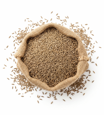 CUMIN SEEDS (SEERAGAM)